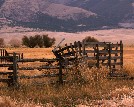 Fences and Fields - Rodger Ewy