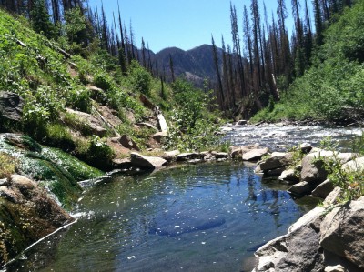 Rainbow Hot Springs, June 2014